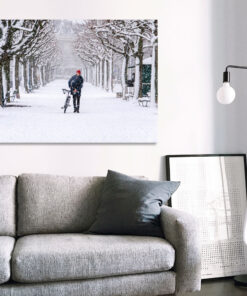 Snow Biker Canvas Room View