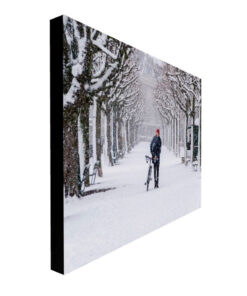 Snow Biker Canvas Side View