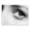 Green Eye Lady Front View