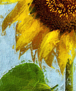 Sunflower Detail View