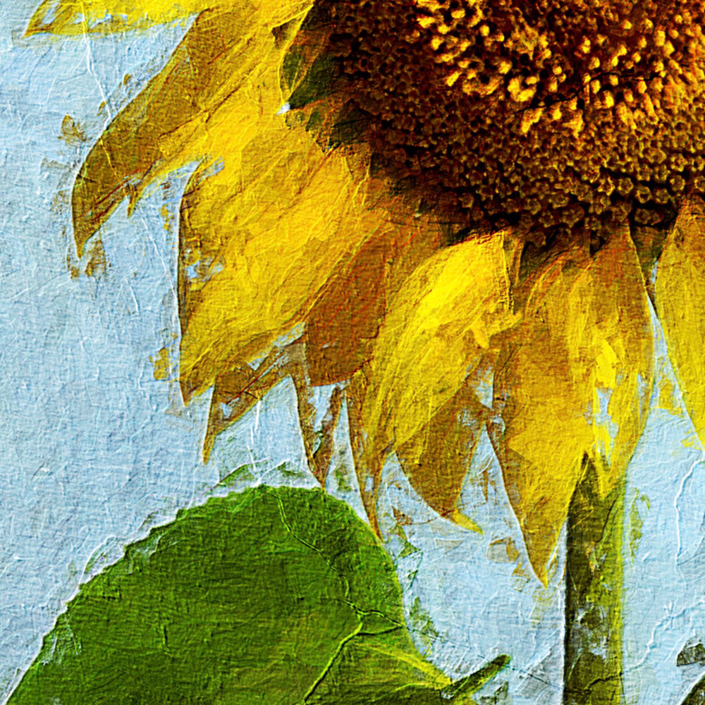 Sunflower Detail View