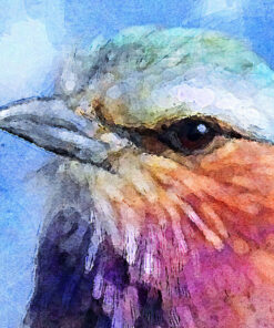 Watercolor Bird Detail View